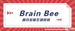 神經(jīng)科學(xué)生必選的Brain Bee腦科學(xué)大賽詳解，5-12年級均可參加