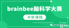 BrainBee競(jìng)賽為何值得參加？BrainBee培訓(xùn)課程推薦