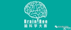 Brain Bee競賽如何報名？地區(qū)/全國/國際賽事都考什么？