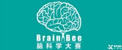 為什么Brain Bee腦科學(xué)大賽越來越受歡迎？附24年Brain Bee比賽時(shí)間