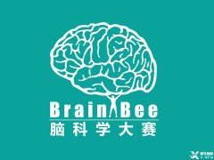 零基礎(chǔ)可以參加什么生物競賽？BrainBee腦科學(xué)培訓(xùn)輔導(dǎo)課程推薦！