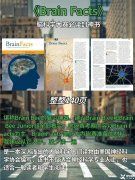 Brainbee腦科學(xué)大賽是什么？犀牛Brainbee競賽培訓(xùn)班還在招生中……