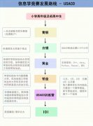 USACO對比NOIP，兩大計算機競賽怎么選？