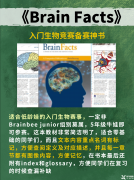 【生物競賽】Brainbee腦科學大賽幾年級可以參加？含金量如何？附Brainbee競賽pdf教材