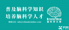 2025BrainBee腦科學(xué)大賽開始報(bào)名！BrainBee報(bào)名考試時(shí)間/報(bào)名方式/考試大綱奉上！