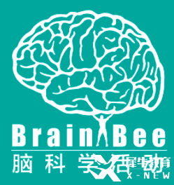 2025年Brain Bee全國(guó)賽即將開(kāi)考！點(diǎn)擊下載Brain Bee參考書(shū)及真題！