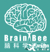 Brain Bee腦科學(xué)大賽是什么?為什么推薦低齡學(xué)生參加？考察內(nèi)容與備考方法