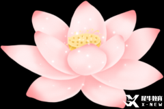 暑假IGCSE課程開課，全國30+校區(qū)