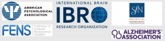 Brain Bee競賽是什么?參賽時間與競賽安排分析，犀牛小班輔導(dǎo)易拿獎！