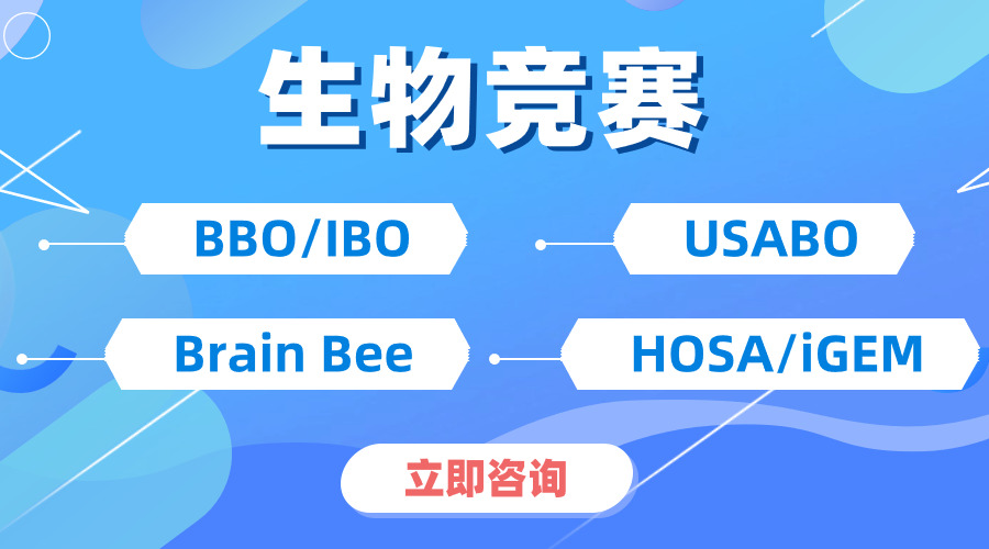 USABO與BBO的雙賽并行，不僅是獎項的疊加，更是能力的飛躍！